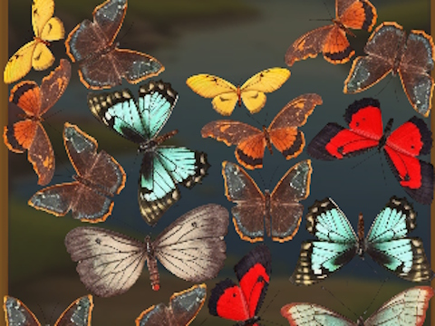 Joc MergeButerfly: 2048! on-line