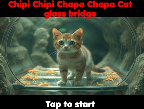 Joc Chipi Chipi Chapa Chapa Cat Glass Bridge  on-line
