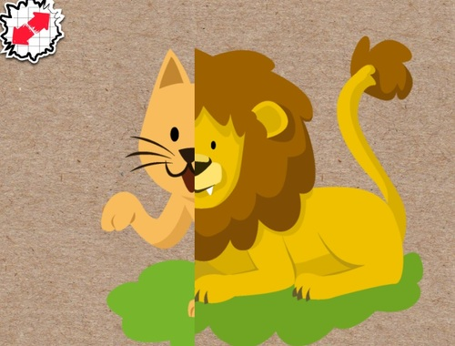 Joc Potriviți animalele  on-line