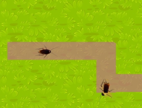 Joc Concasor de insecte  on-line