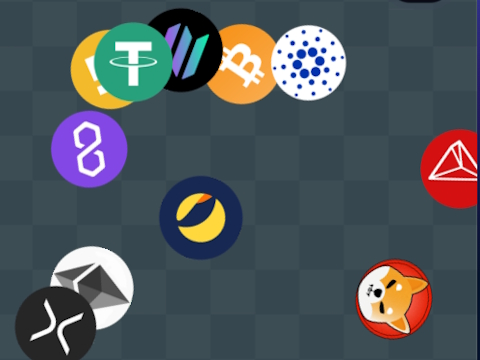 Joc Crypto Detective Finder  on-line
