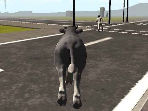 Joc Crazy Bull City  on-line