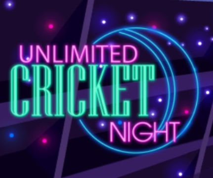 Joc Noapte nelimitată de cricket  on-line