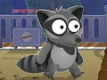 Joc Raccoon este izbucnit  on-line