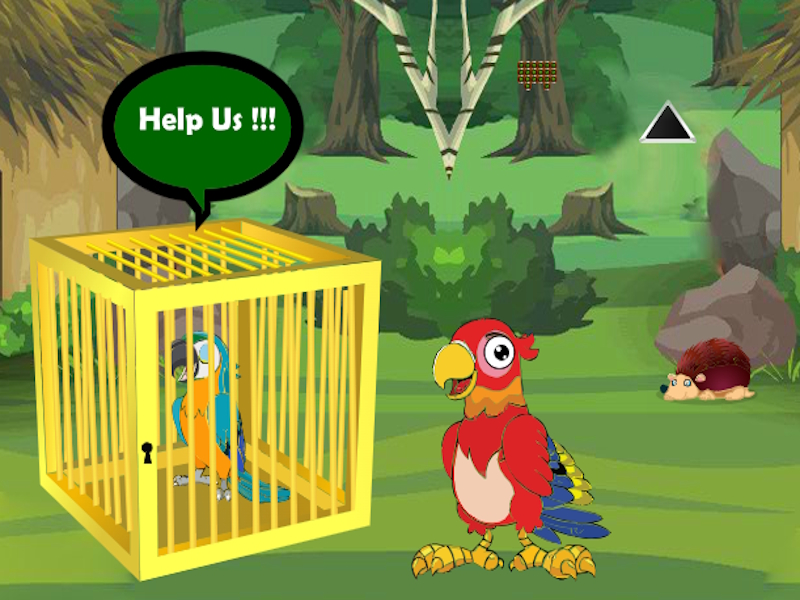 Joc Eliberați Buddy Macaw Macaw on-line