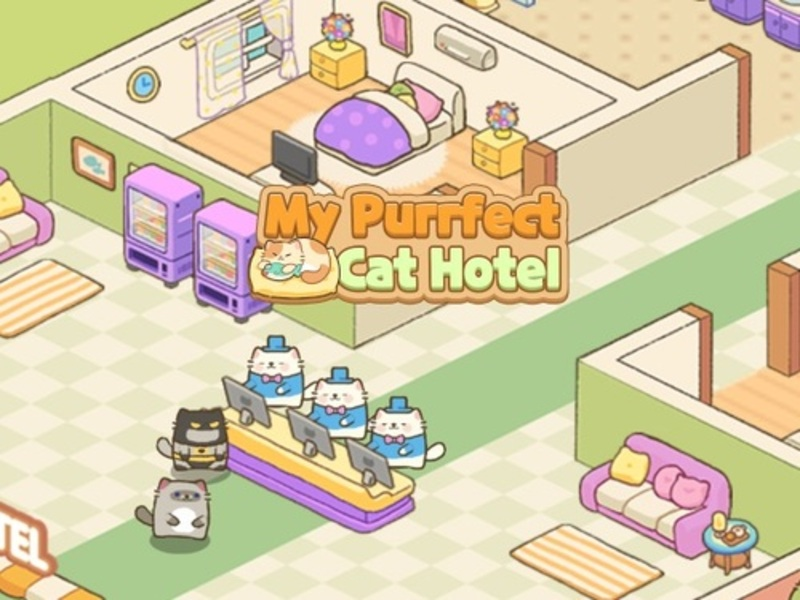 Joc Hotelul meu Purrfect Cat on-line
