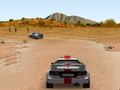 Joc Raliul 3D  on-line